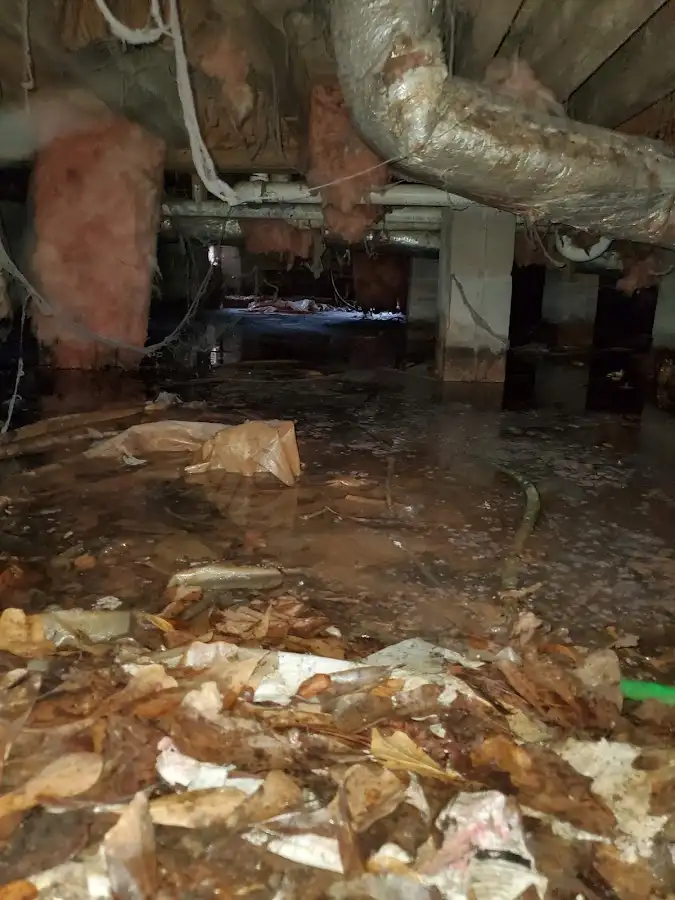Crawl space flood assessment for Commercial Water Damage Restoration in Morro Bay